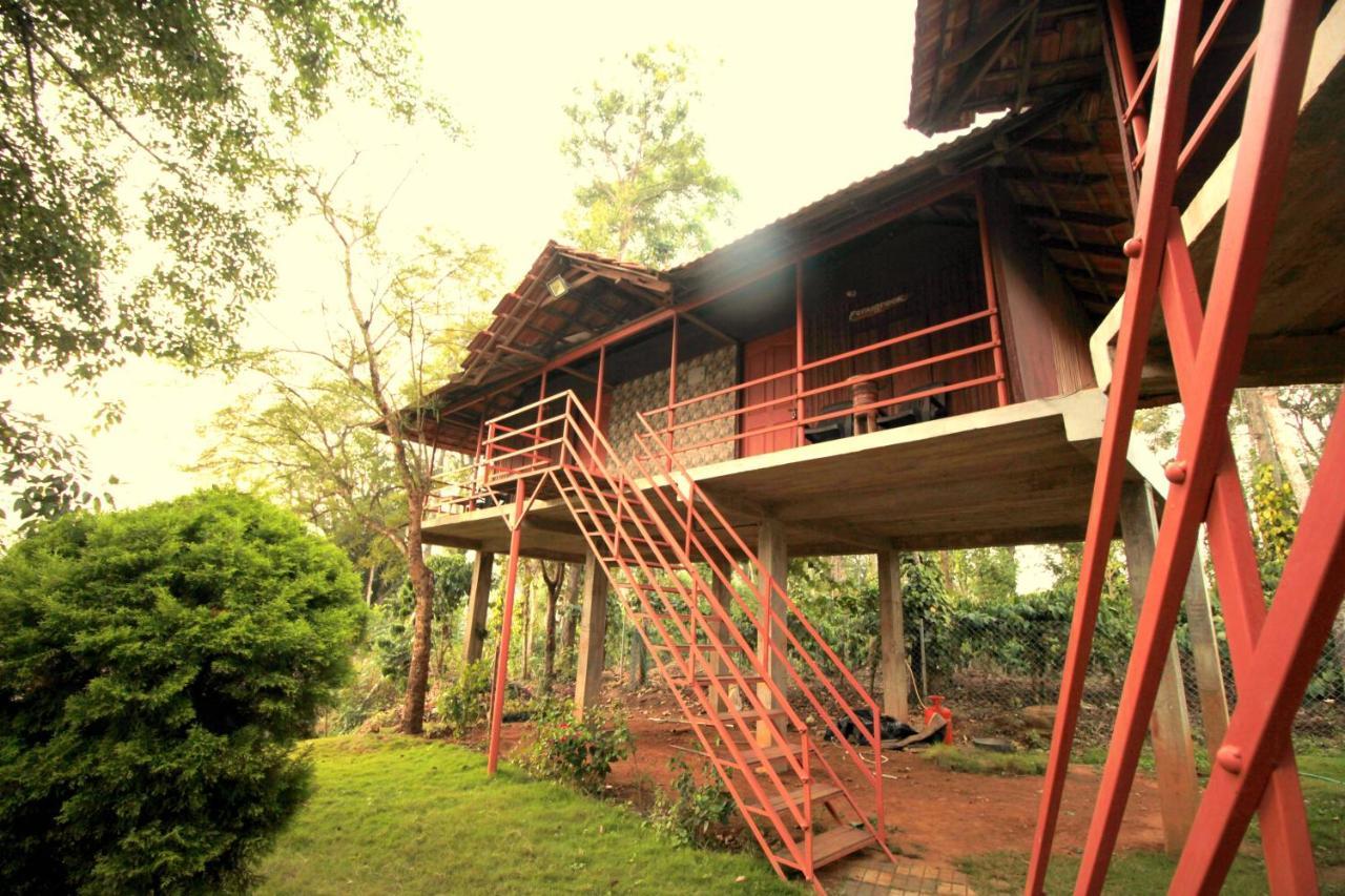 Pepper Green Wayanad Resort With Swimming Pool Kattikkulam ภายนอก รูปภาพ